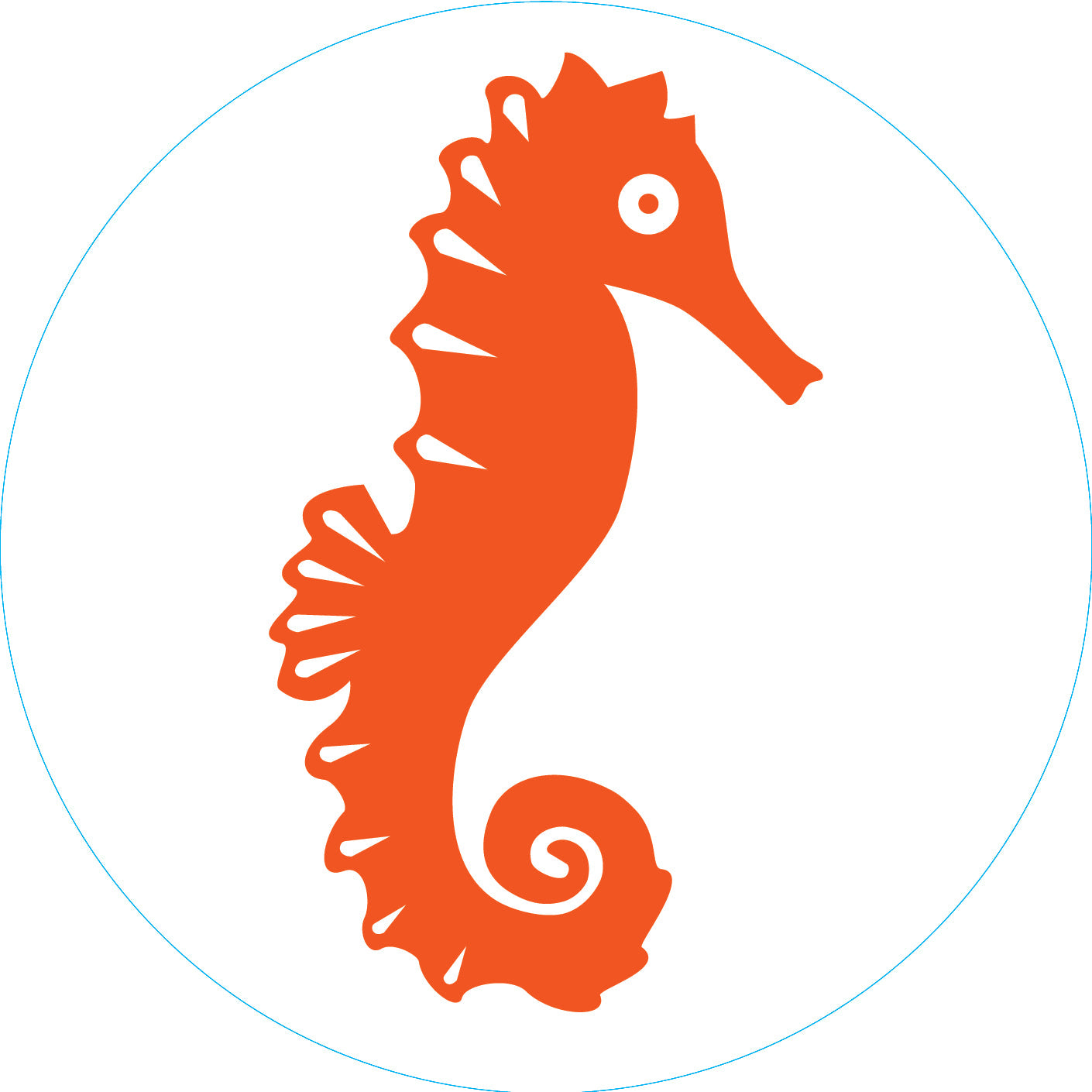 Bogg Bit - Seahorse | SLABQV-398